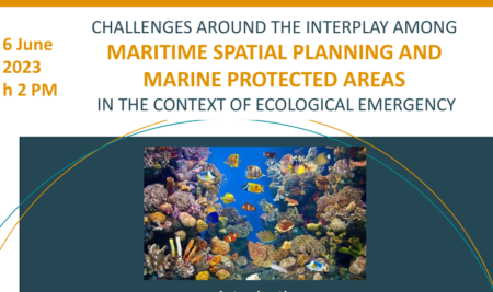 Challenges around the Interplay among Maritime Spatial Planning and Marine Protected Areas in the Context of Ecological Emergency